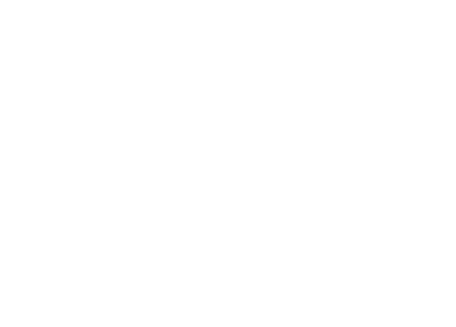 Logo Brain Storm Academy